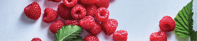 raspberries web banner